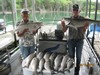(05/15/2018) - Nice Striped Bass